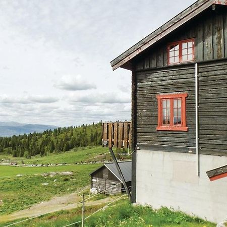 ヴィンストラSulseter Fjellstuguアパートメント エクステリア 写真