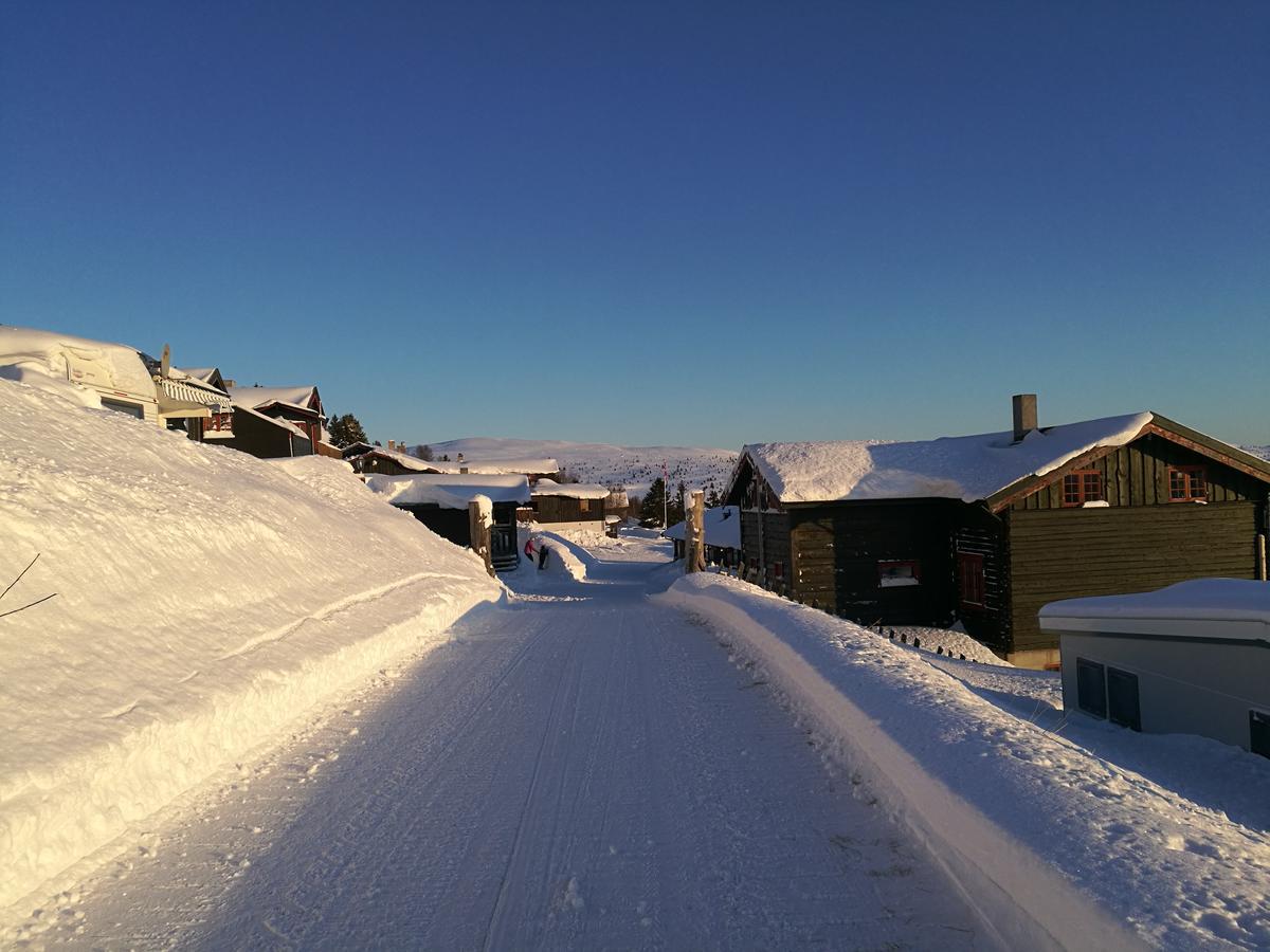 ヴィンストラSulseter Fjellstuguアパートメント エクステリア 写真